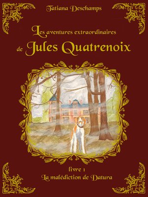 cover image of Les aventures extraordinaires de Jules Quatrenoix--Livre 1
